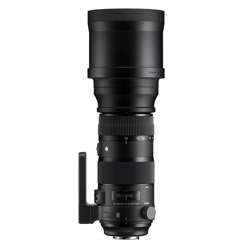 Sigma 150-600mm F5-6.3 DG OS HSM | Sports Lens for Canon EF