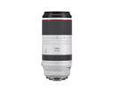 Canon RF100-500mm F4.5-7.1 L IS USM