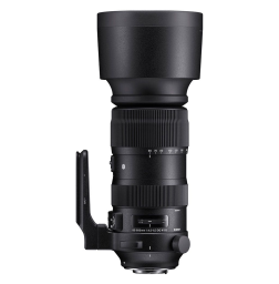 Sigma 60-600mm F4.5-6.3 DG OS HSM | Sports Lens for Nikon F (Sigma 730955)