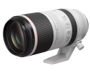 Canon RF100-500mm F4.5-7.1 L IS USM