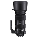 Sigma 60-600mm F4.5-6.3 DG OS HSM | Sports Lens for Nikon F