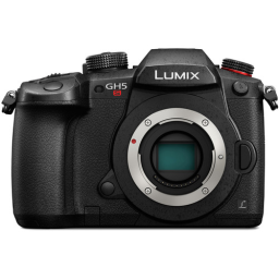 Panasonic Lumix DC-GH5S (DC-GH5S)