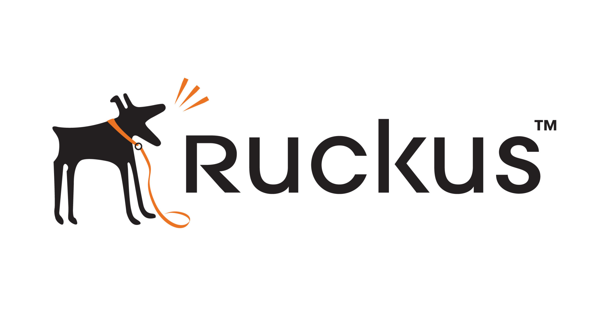 Ruckus Networks