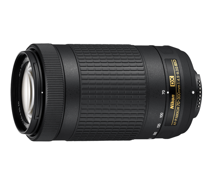 Nikon AF-P DX NIKKOR 70-300mm f/4.5-6.3G ED