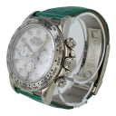 Rolex Daytona 16519 (Green Leather Strap, MOP Dial, MOP Subdials)